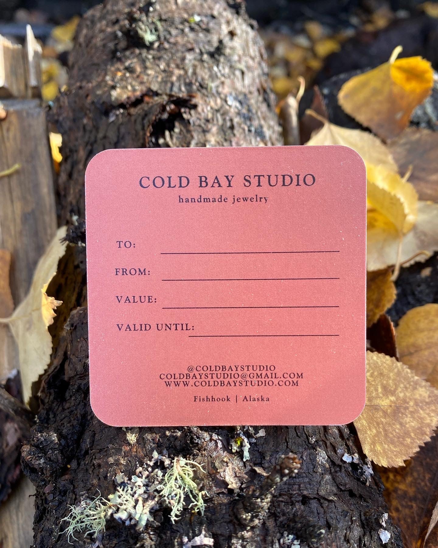 Cold Bay Studio Gift Card