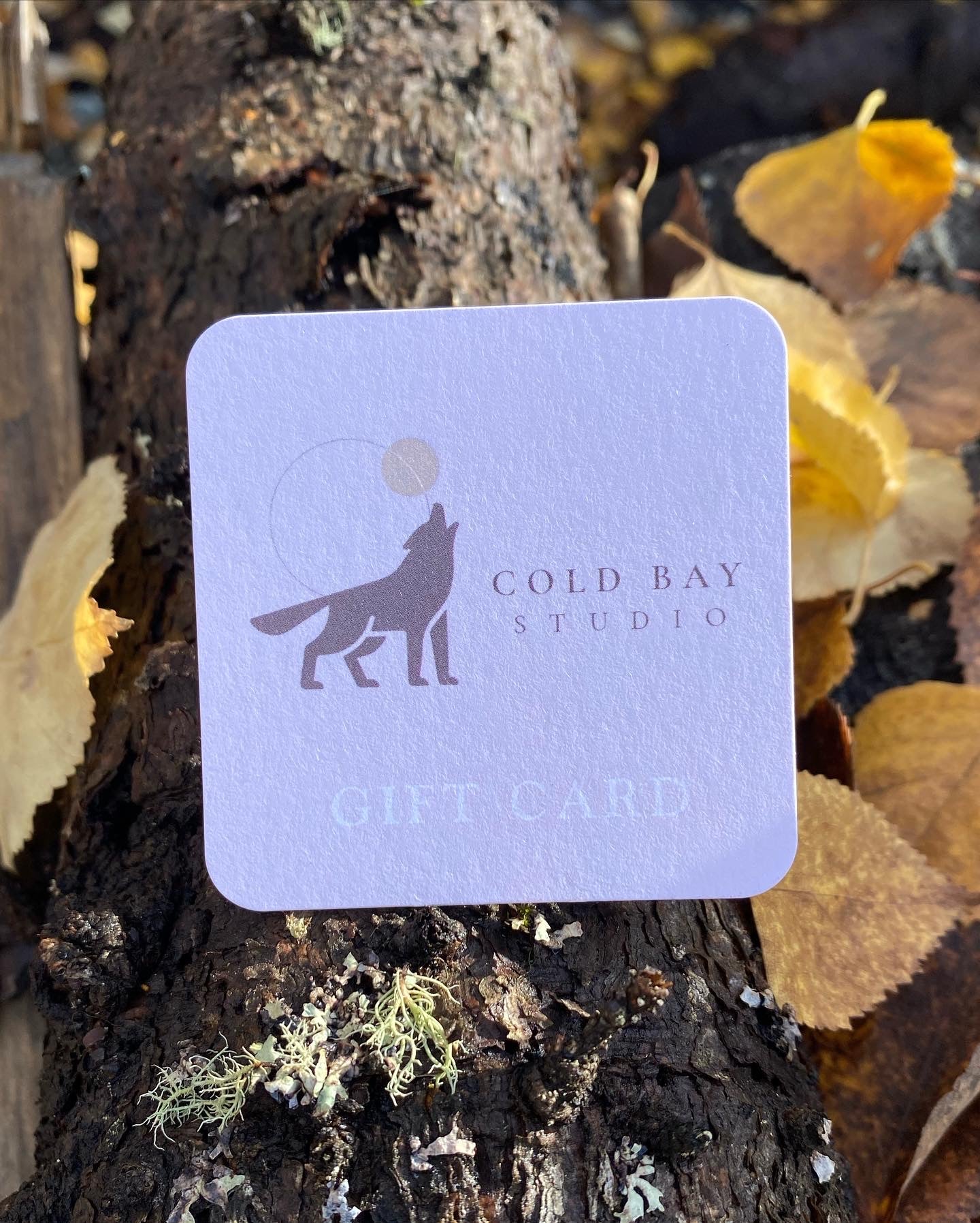 Cold Bay Studio Gift Card