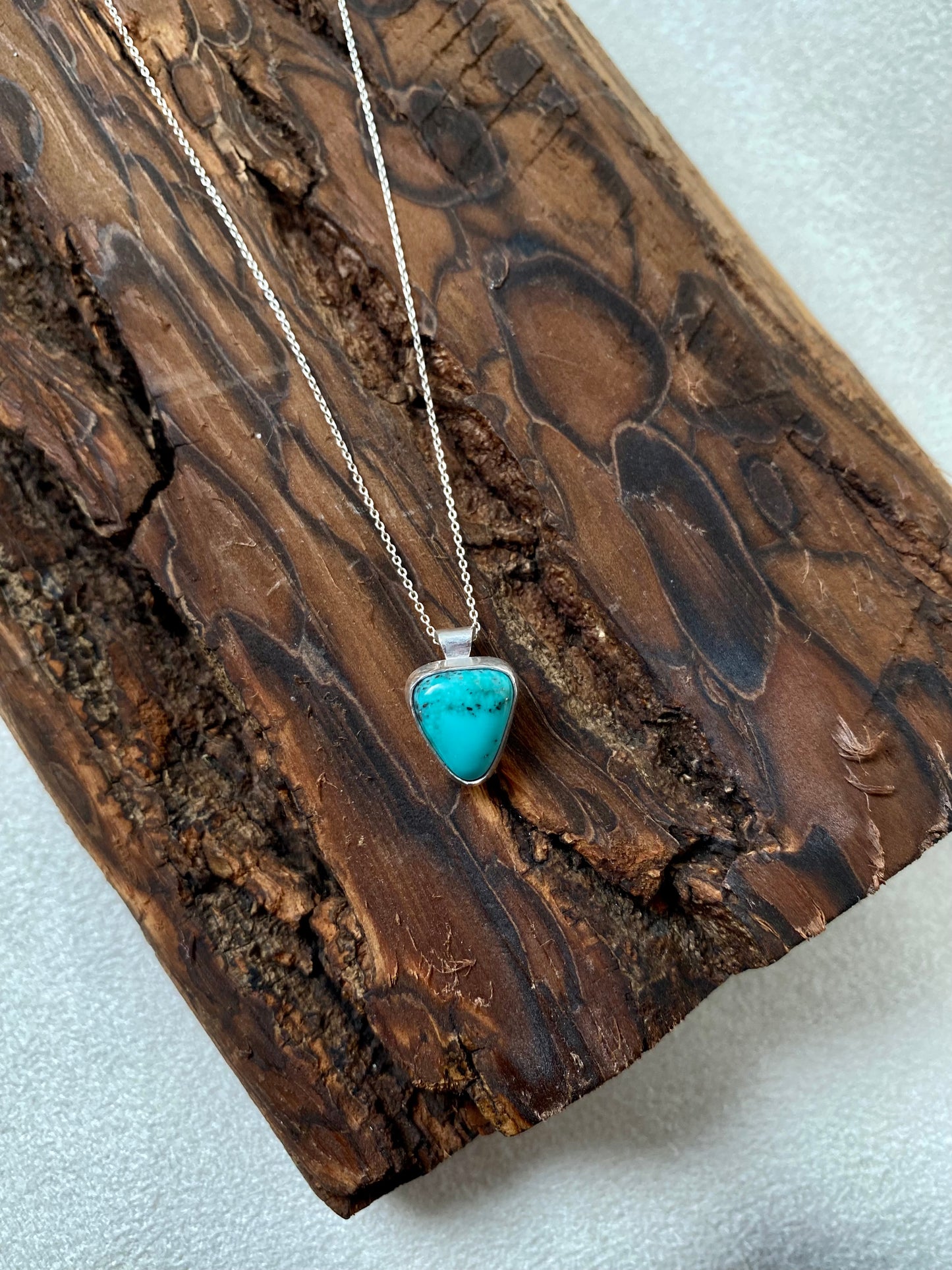 Campitos Turquoise Shortie Necklace