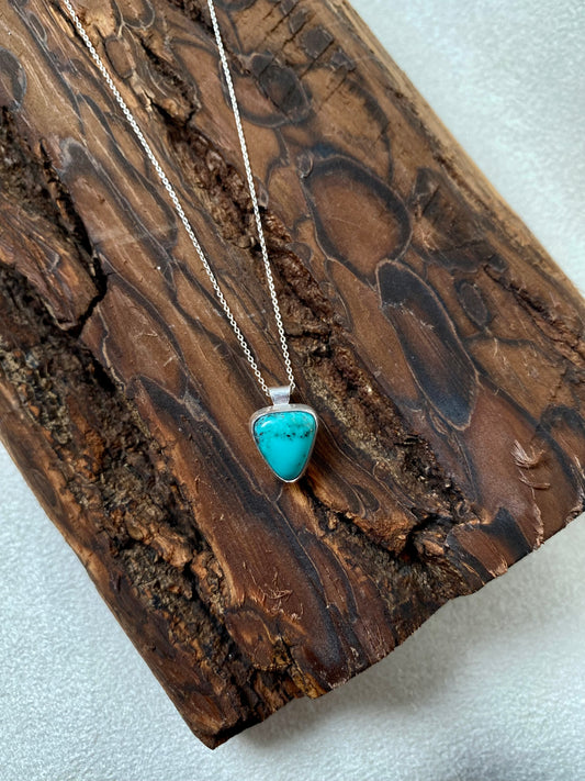 Campitos Turquoise Shortie Necklace